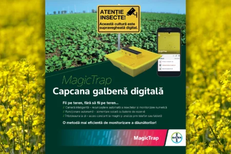 MagicTrap de la Bayer