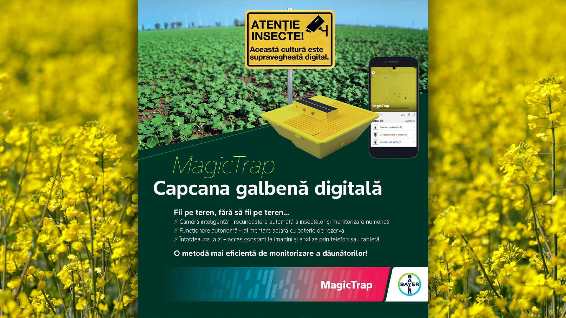 MagicTrap de la Bayer