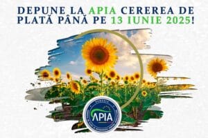 apia 13 iun