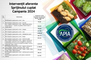 plata SCZ 2025