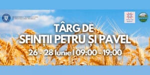 targ petru pavel