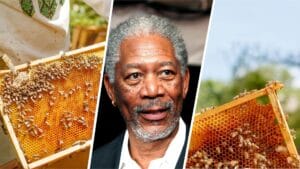 Morgan Freeman Bees