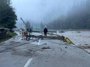 suceava trei