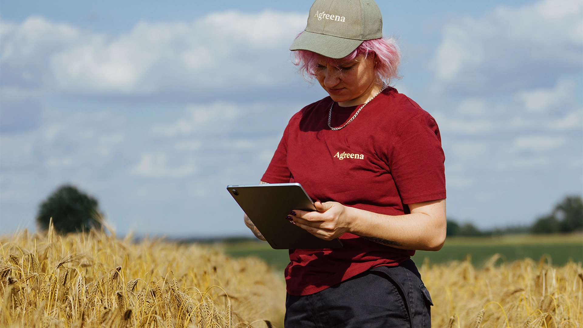 Pași practici pentru consolidarea rezilienței unei afaceri agricole