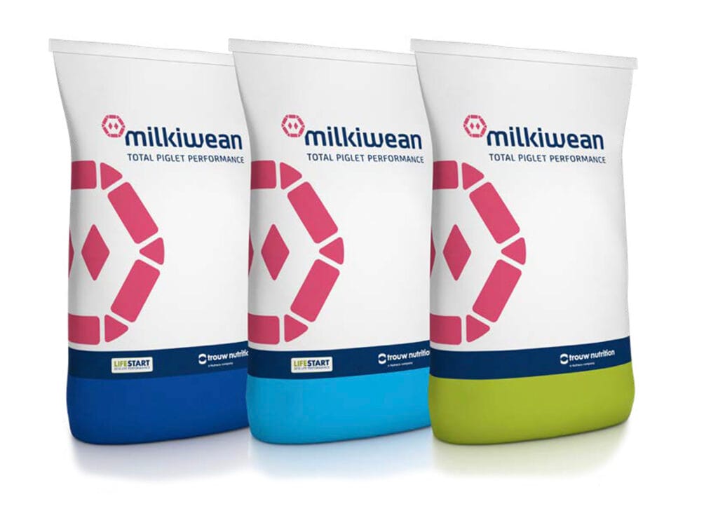 Milkiwean purcei