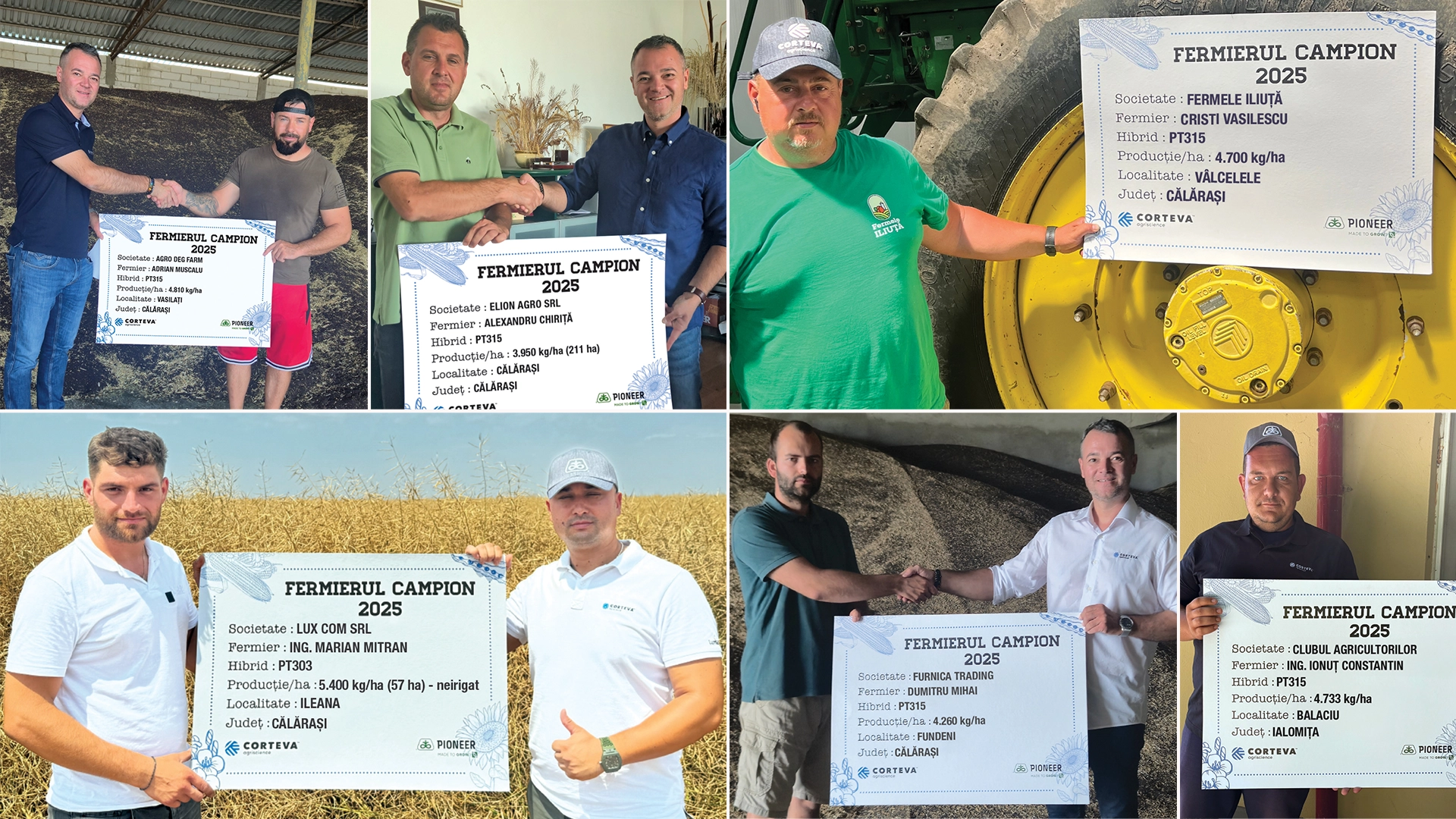 Rezultate de top cu hibrizii de rapiță Pioneer în județele Călărași și Ialomița