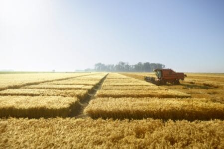 grau corteva fungicid queen inatreq