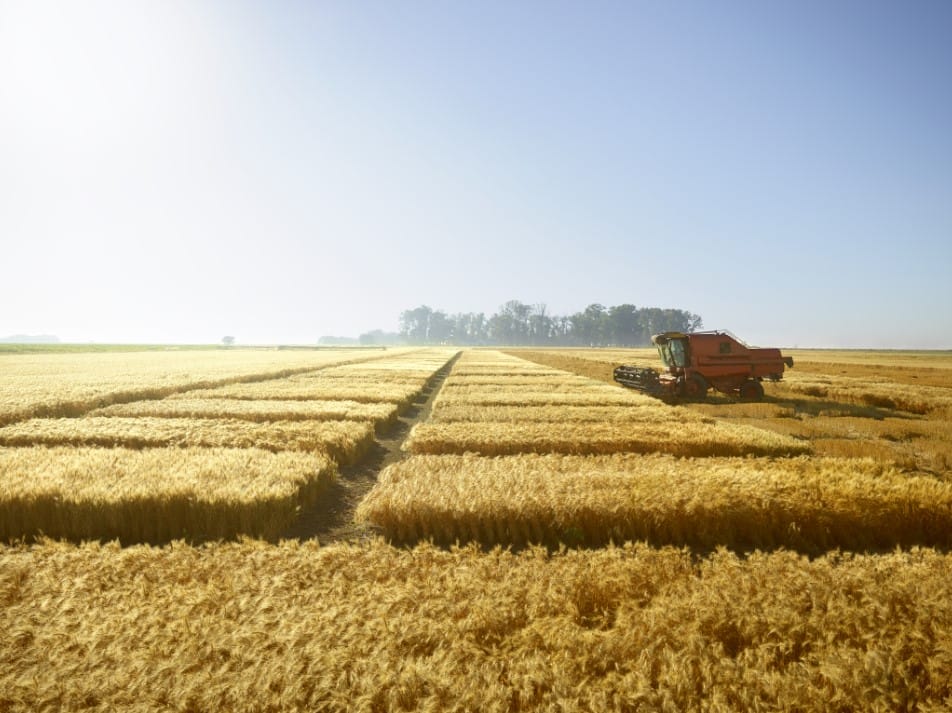 grau corteva fungicid queen inatreq