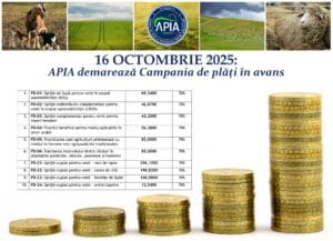 apia avans 2025