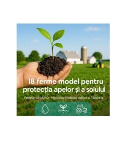 ferme model