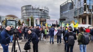 strasbourg doi
