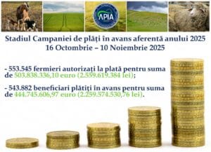 apia 10 niv