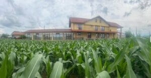 ferma milion doi