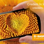 BASF
