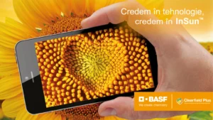 Secretul unei recolte reușite de floarea-soarelui? Alege hibridul BASF potrivit