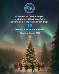 craciun apia