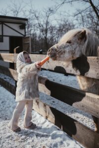 Ferma Smărăndiței unde copiii învață cum se cresc animalele! 3 ferma copii patru