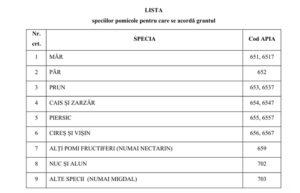 lista grant