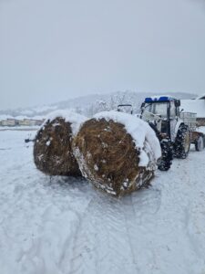 munte tractor