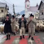 turme stulpicani