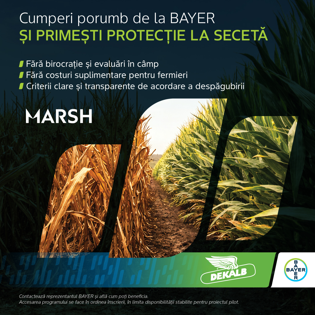 Asigurare porumb Bayer Marsh