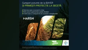 Bayer și Marsh lansează un program inovator de protecție financiară pentru fermierii cultivatori de porumb DEKALB