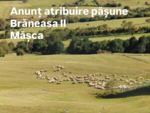 pasune sibiu