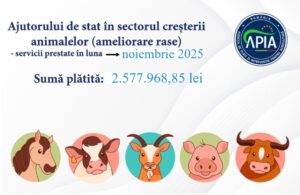 plati animale
