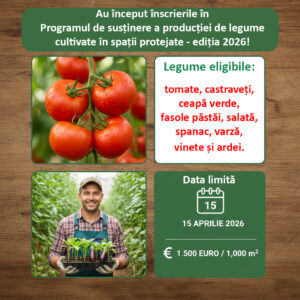 program legume