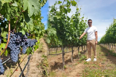 Domeniile Samburesti Proquinazid Corteva Agriscience foto 1