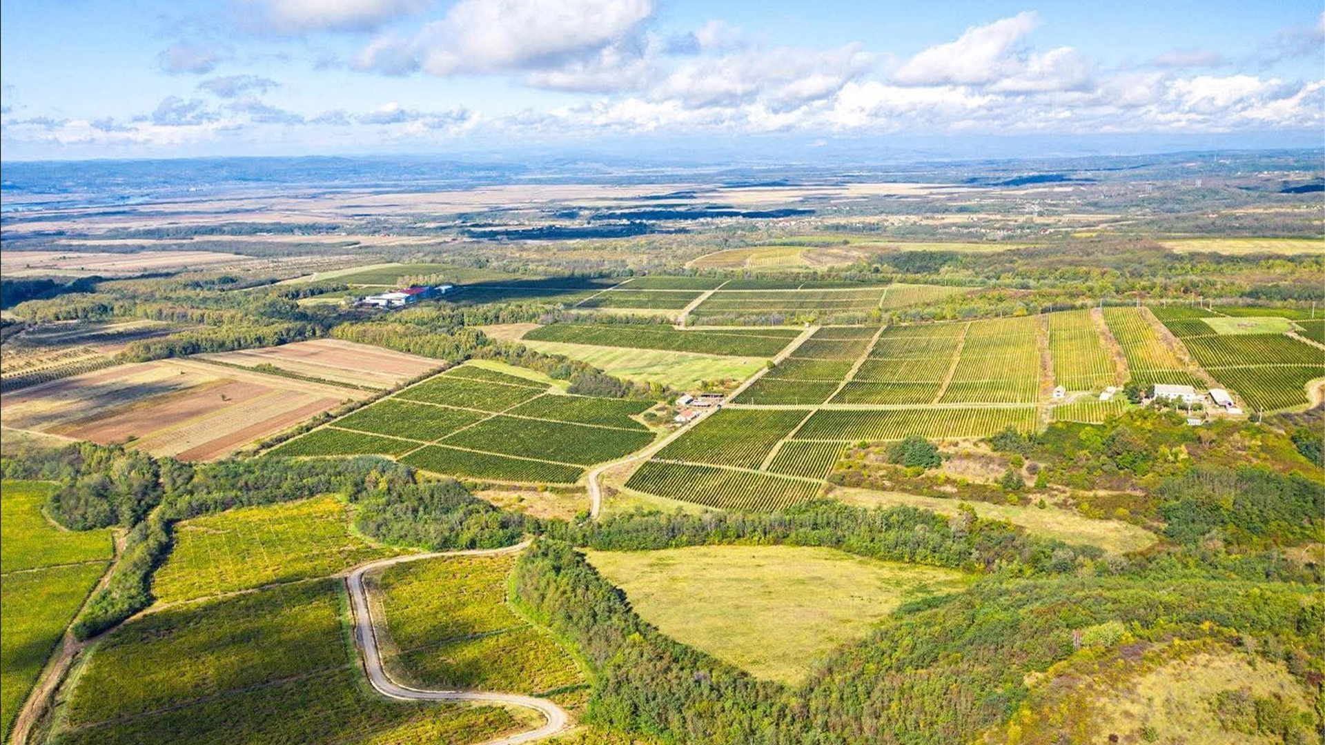 Domeniile Samburesti Proquinazid Corteva Agriscience foto 2