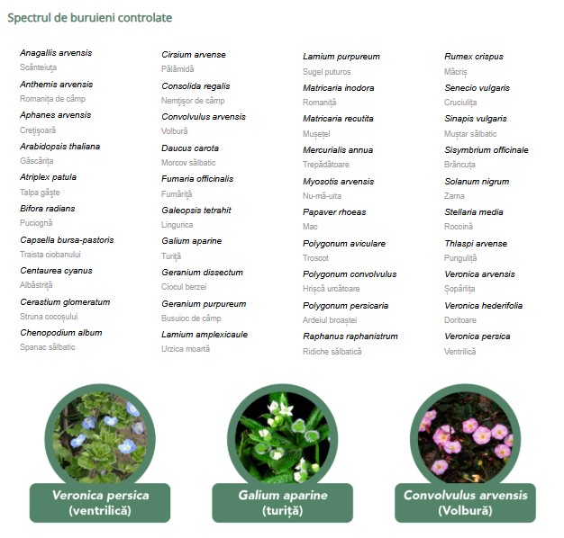 erbicid omnera cereale fmc agro