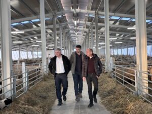 Adrian Pintea, fostul șef APIA, la o fermă de ovine! 1 pintea ferma oi 1