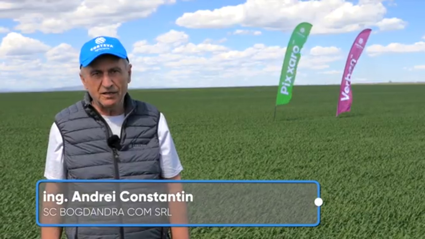 testimonial verben andrei constantin