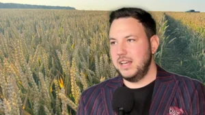 Fermierii români cresc productivitatea culturilor de cereale prin protecția timpurie