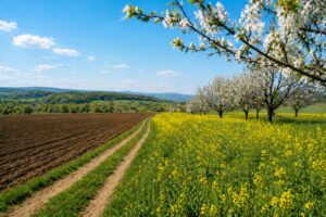 Prognoza agrometeorologică 24 aprilie – 30 aprilie 2026!