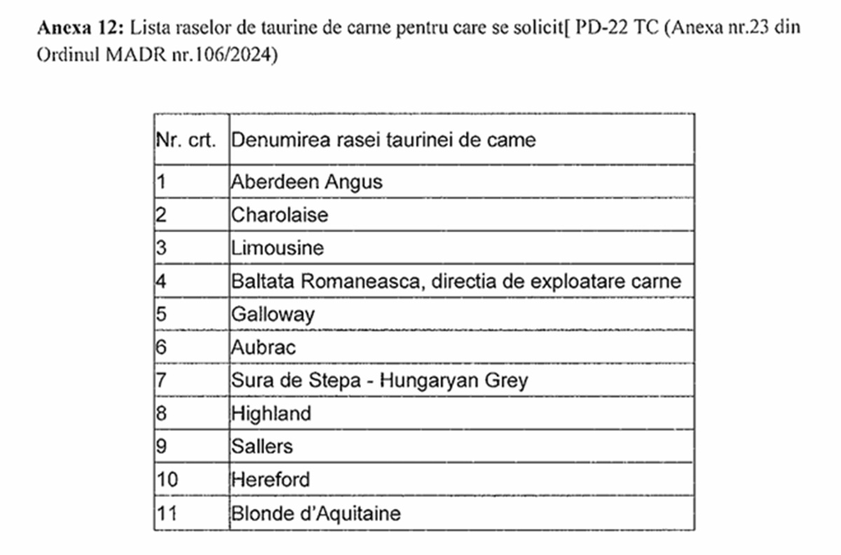 Lista raselor bovine carne la plata subvenției APIA de 290 euro/bovină! 1 rase carne