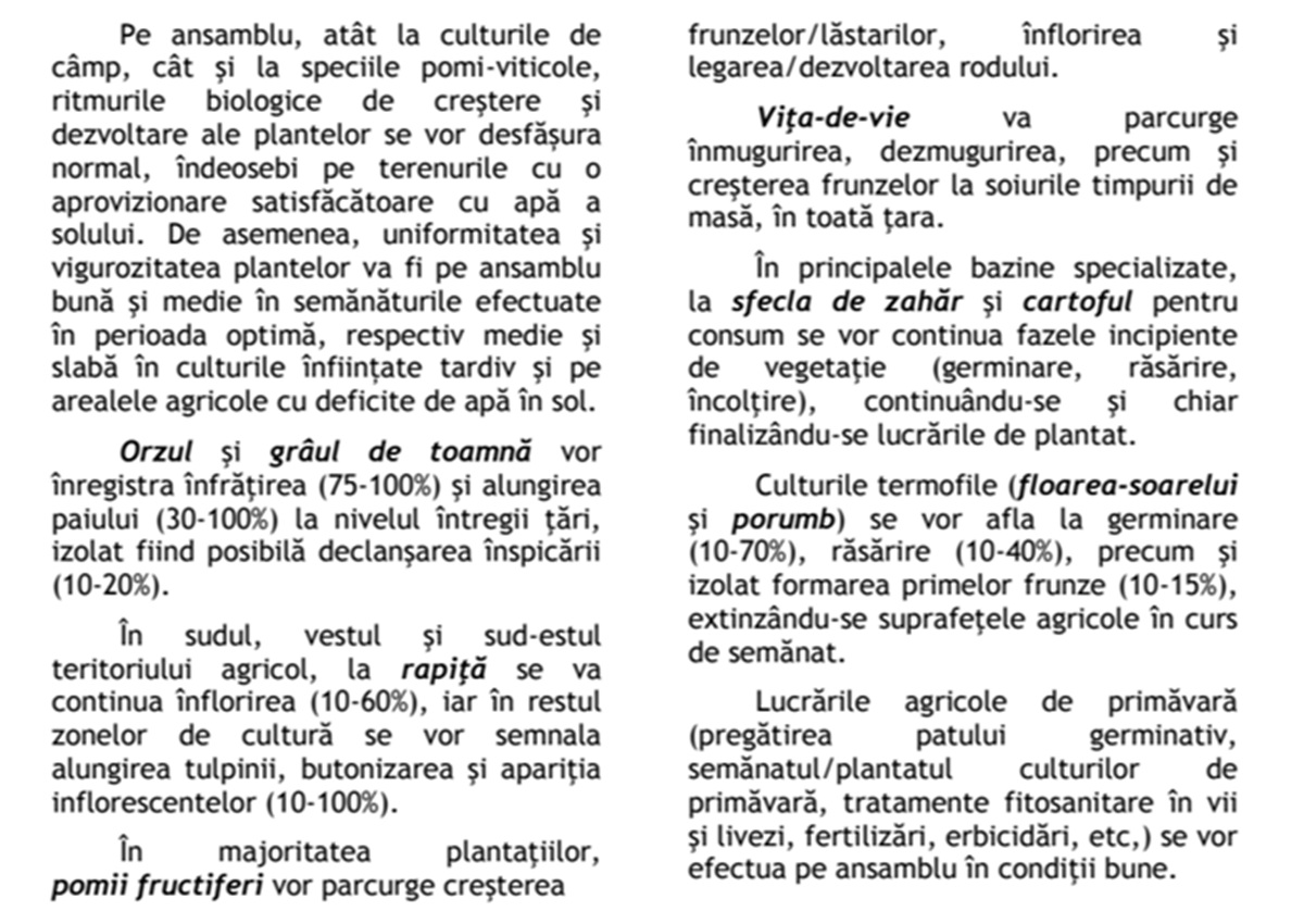 stare vegetatie culturi