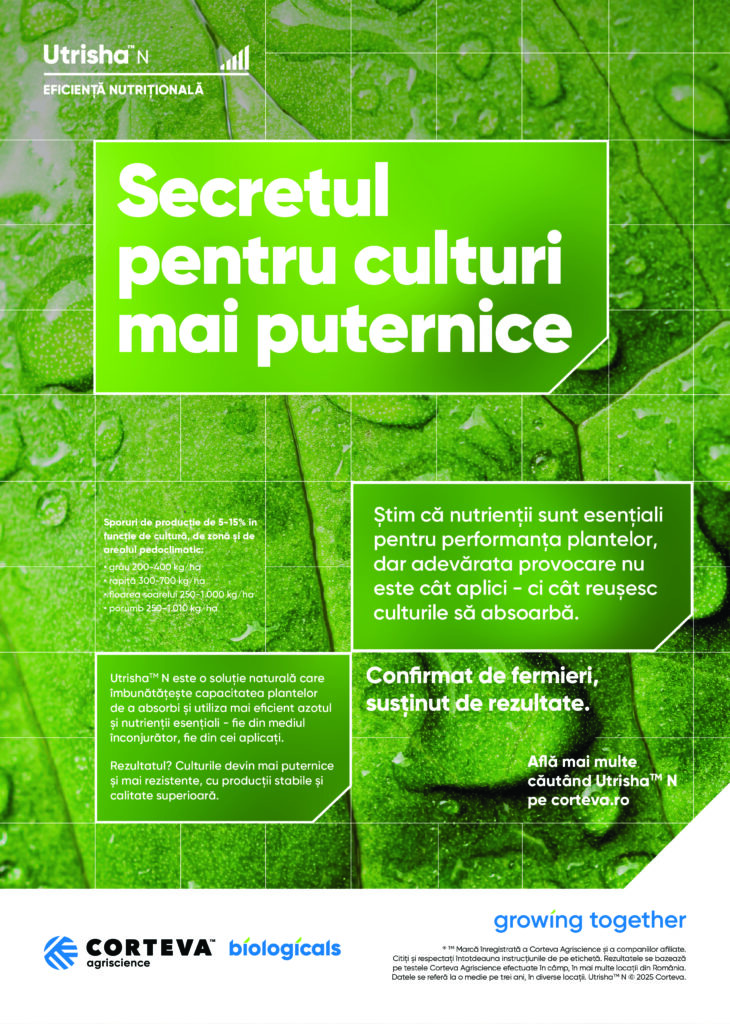 Beneficiile Utrisha™ N în cultura porumbului: sporuri de producție chiar și de 800 kg/ha! 1 utrisha porumb