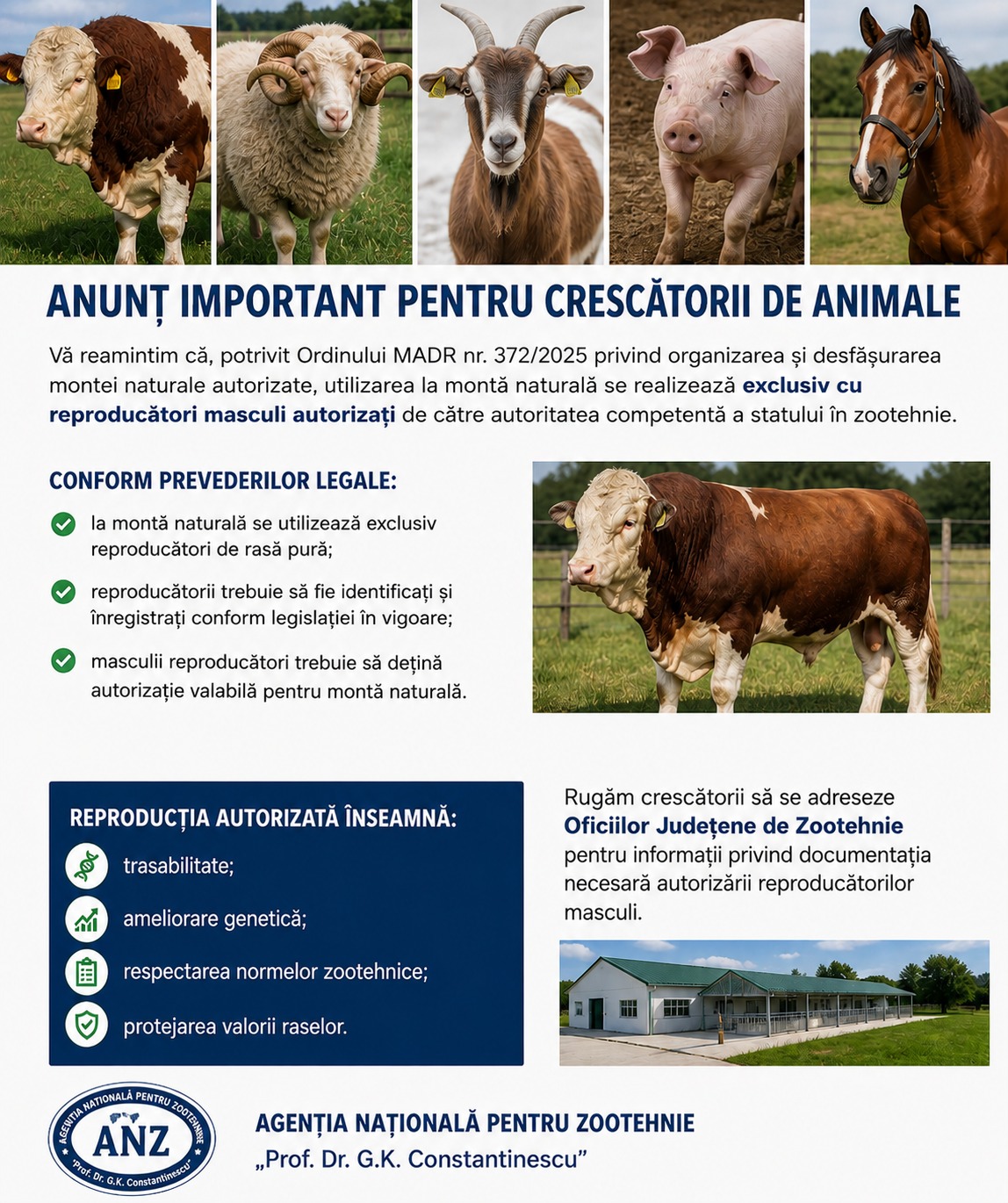 anunt anz