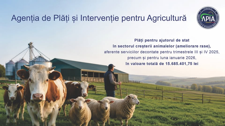 apia plati animale