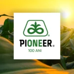 pioneer 100 de ani
