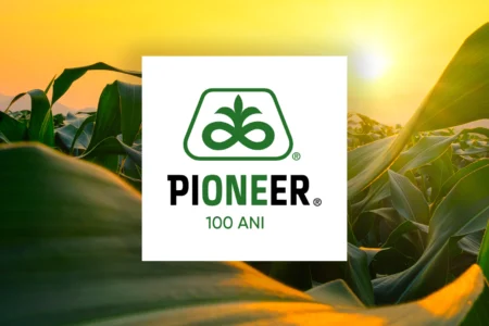 pioneer 100 de ani