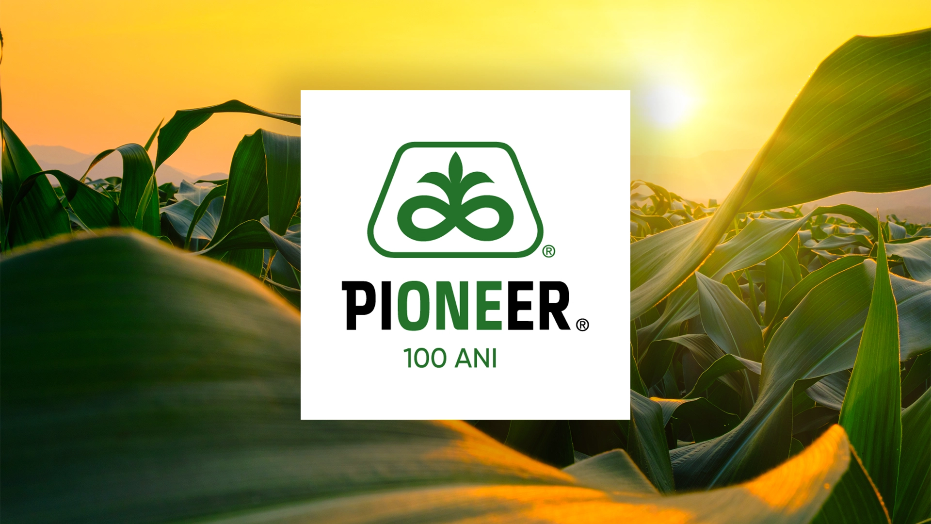 pioneer 100 de ani