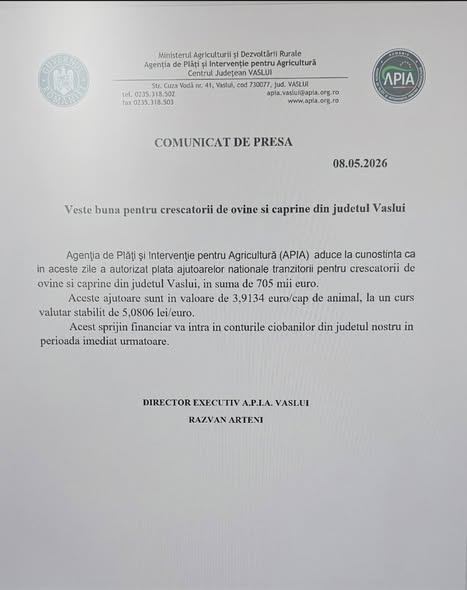 plata oi