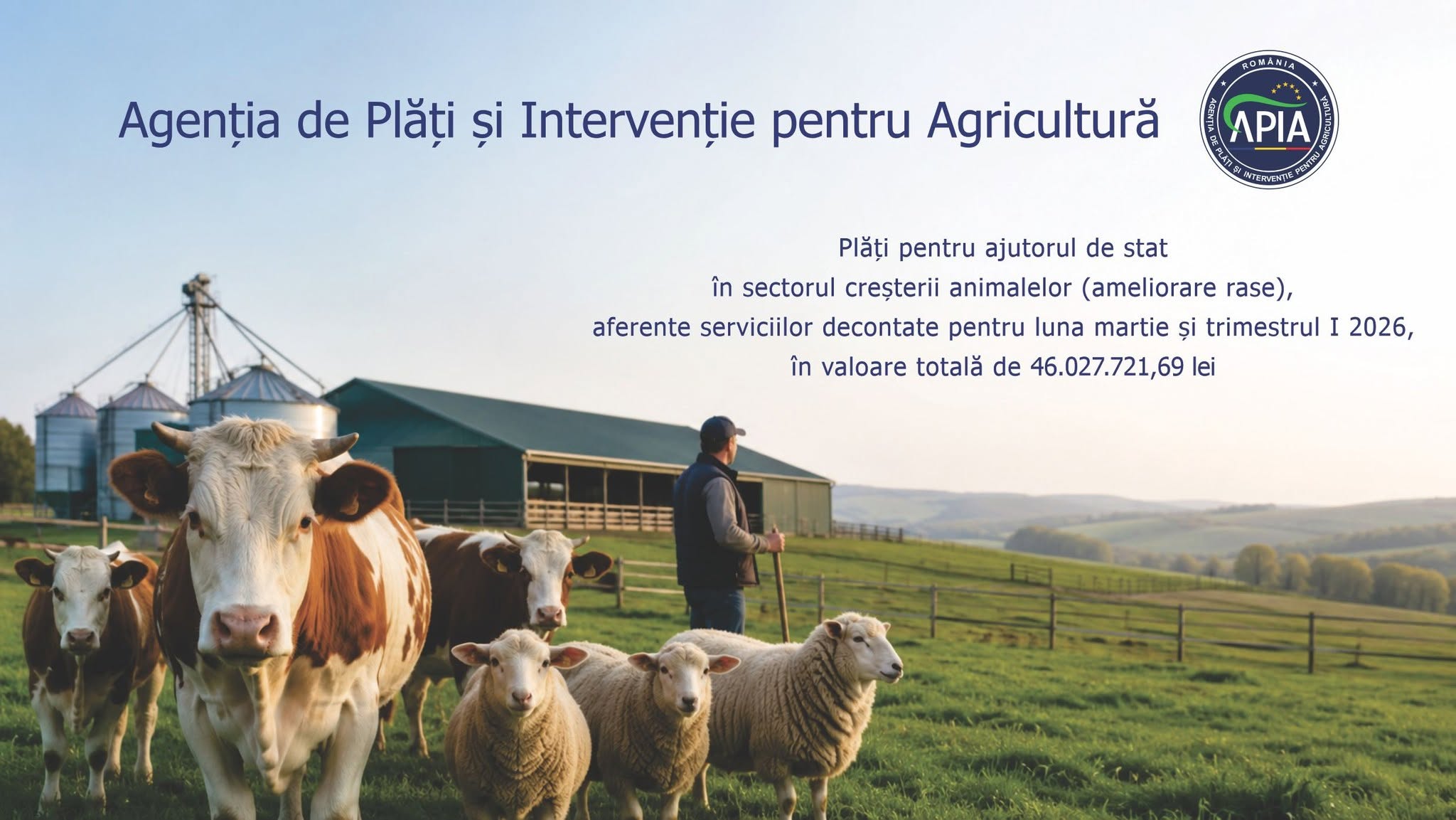 APIA animale