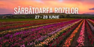 Tărâmul Trandafirilor e în România! Sărbătoarea Rozelor de la Ciumbrud în această săptămână!