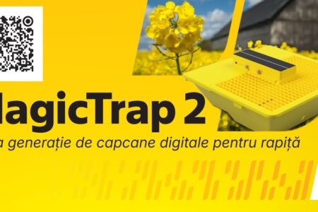 magicTrap 2