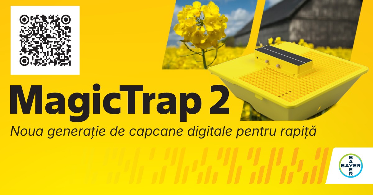 magicTrap 2