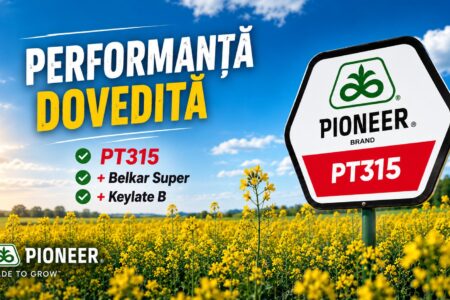 rapita pt 315 belkar super keylate b corteva